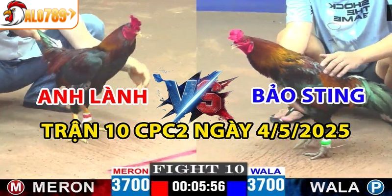 3 cửa cược phổ biến nhất